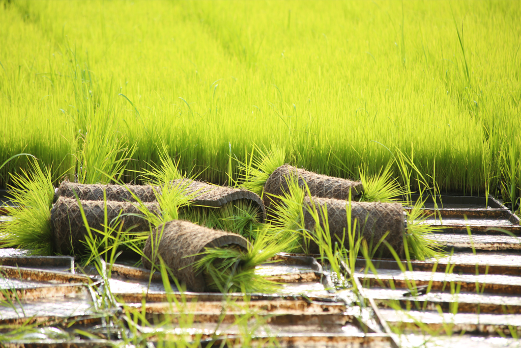 about-us-banner-01